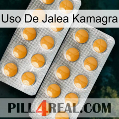 Kamagra Jelly Use levitra2